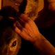 Rhinoceros-eyes-making-of-screencaps-0501.png