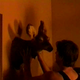 Rhinoceros-eyes-making-of-screencaps-0573.png