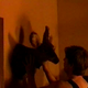 Rhinoceros-eyes-making-of-screencaps-0575.png