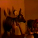 Rhinoceros-eyes-making-of-screencaps-0577.png