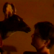 Rhinoceros-eyes-making-of-screencaps-0599.png